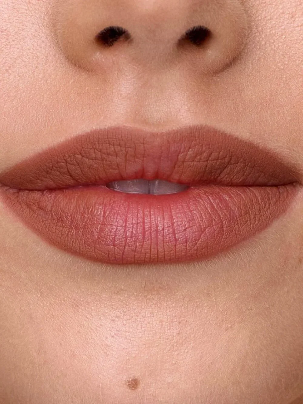 NWT. SWEED Lip Liner, ROSE THORN